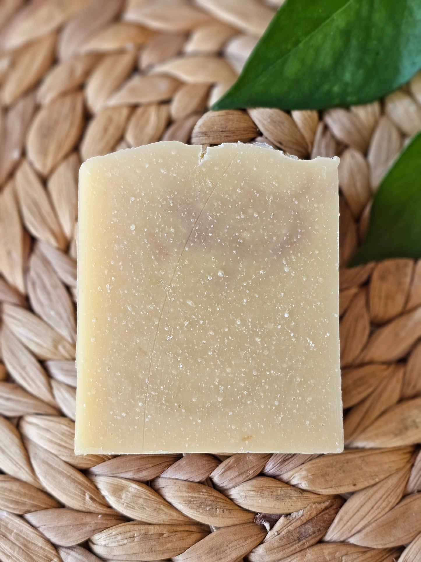 Citrus Ginger -Handmade Bar Soap