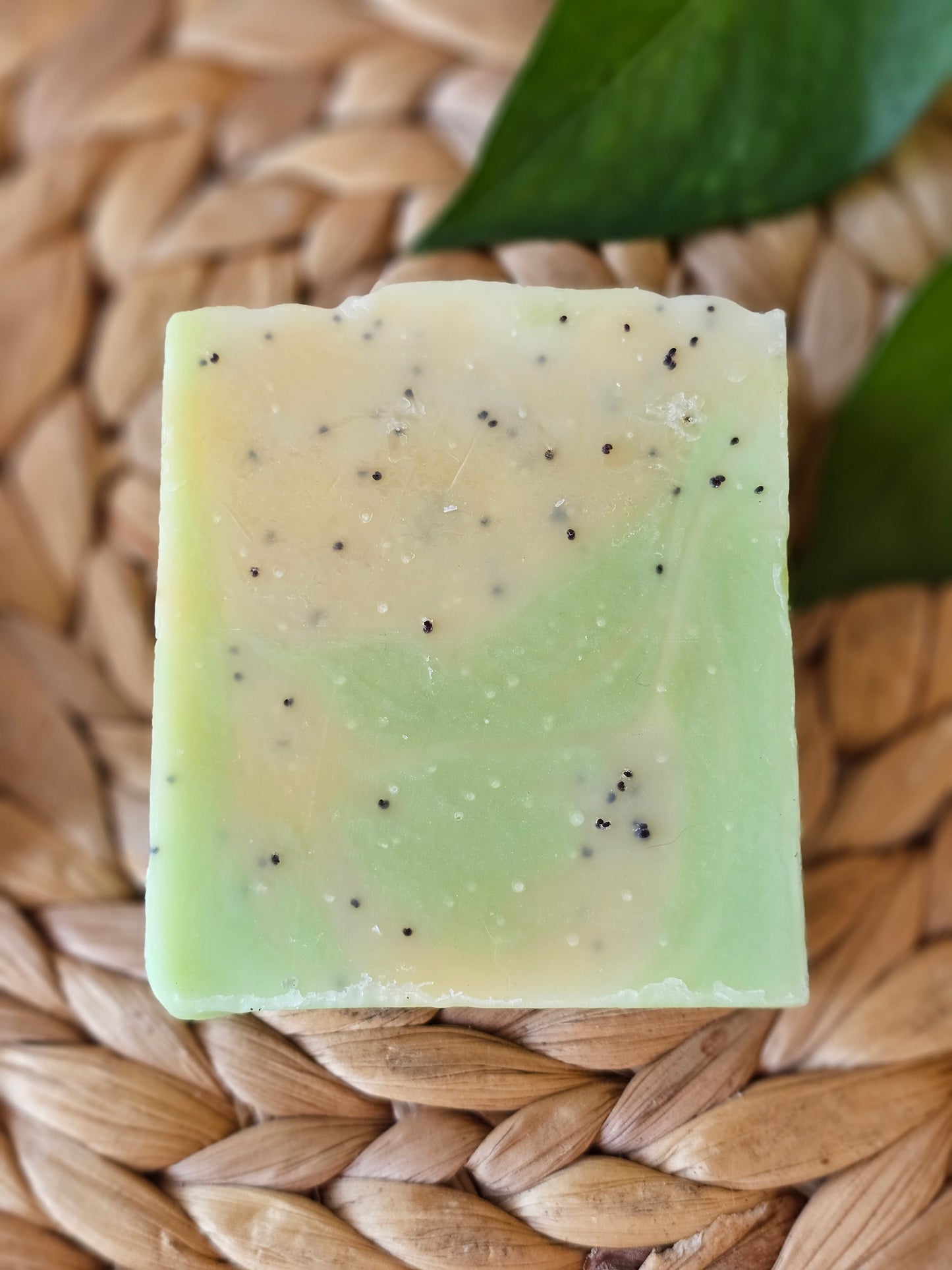 Desert Oasis - Handmade Bar Soap